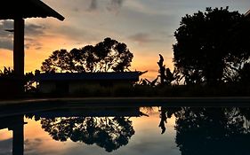 Finca privada exclusiva con piscina y jacuzzi Ideal para grupos y celebraciones en Montenegro